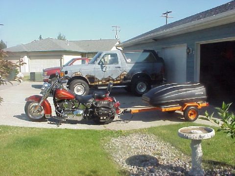 2000 Harley-Davidson Softail - TOYS SHOT