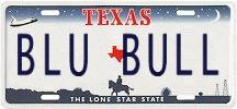 1993 Ford Taurus - A Texas license plate displays the phrase BLU BULL along with state imagery.
