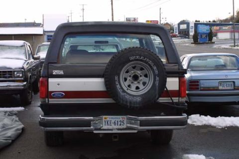 1989 Ford Bronco - Straight-on rear view of a black full-size Ford Bronco with a red and silver two-tone tailgate stripe, "Special" badge on the hardtop, and…