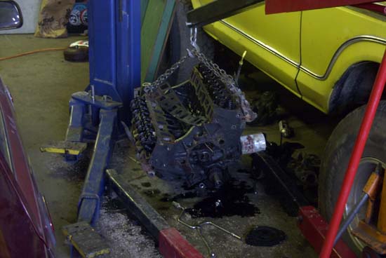 Thats the 351 Windsor from my truck which was seized.