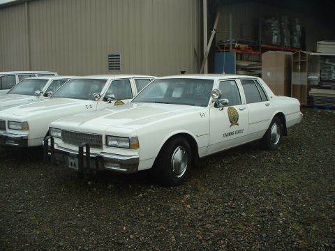 1999 Ford Crown Victoria - 1990 Caprices. Former Washington State Patrol cars turned into training vehicles.