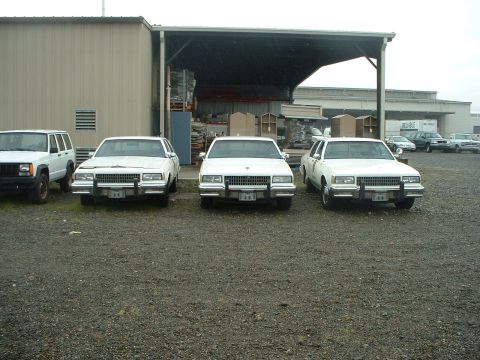 1999 Ford Crown Victoria - Several white sedans are parked in front of a large industrial building.
