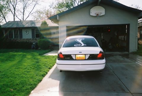 2000 Ford Crown Victoria - Rear view of a white 2000 Ford Crown Victoria parked in a driveway with a snake decal on the rear window.