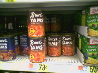 1989 Ford Bronco - The power of YAMS!
