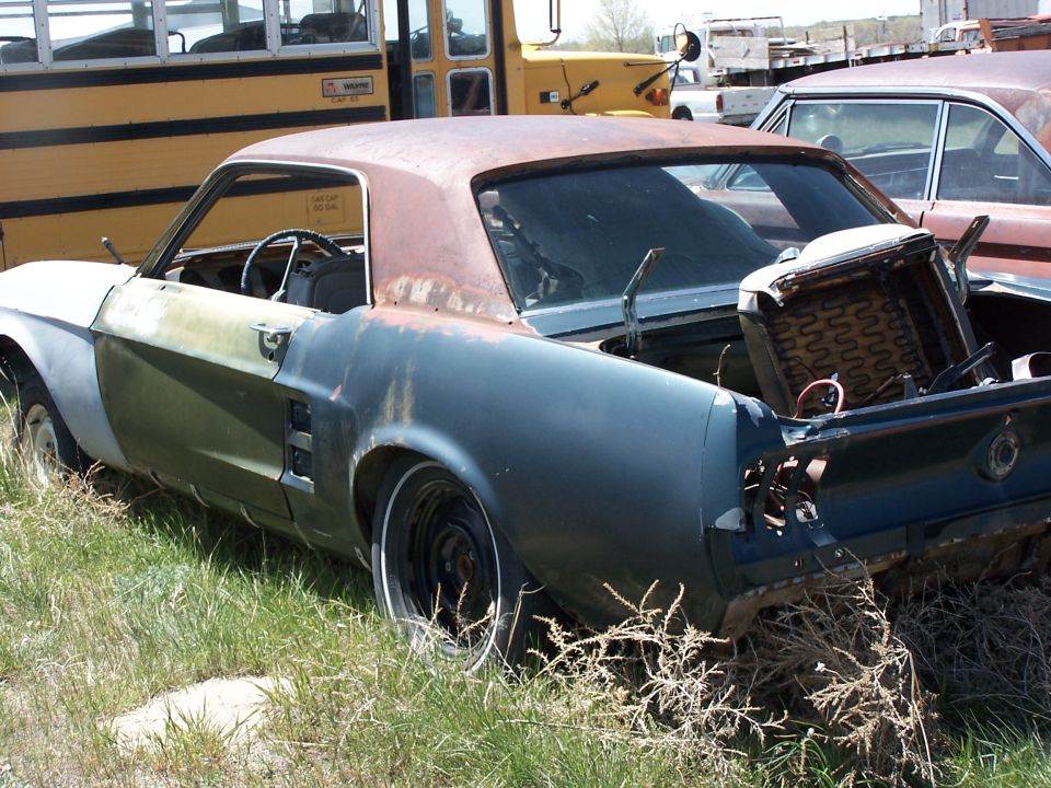 Old Ford Mustang coupe with rust, missing parts, parked in a junkyard next to a school bus