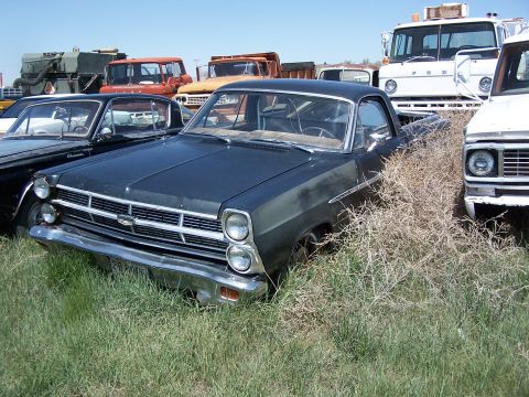 1968 Ford Coupe - A dark blue pickup truck sits in a junkyard surrounded by overgrown weeds and other vehicles.