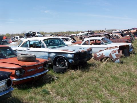 1968 Ford Coupe - A collection of vintage cars sits in a grassy junkyard under a clear blue sky.