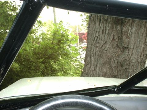 1995 Ford Bronco - Looking out from inside a vehicle with a roll cage, past trees and a large tree trunk.