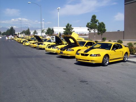 2002 Ford Mustang - A line of yellow Ford Mustangs are parked on a street, some with their hoods open, under a clear blue sky.