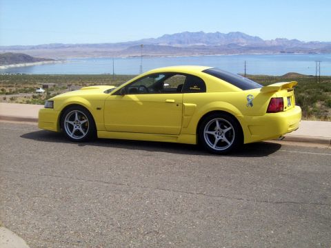 2002 Ford Mustang - vegasav8trs GT