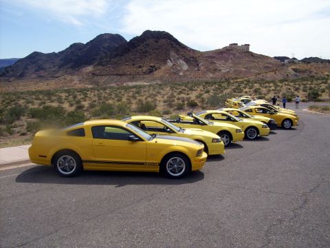 2002 Ford Mustang - A line of yellow Ford Mustangs are parked in a desert landscape with mountains in the background.