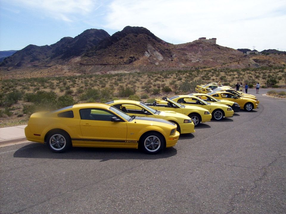 Yellow Ford Mustang coupe with black stripe, parked in a line with other Mustangs