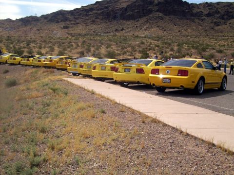 2002 Ford Mustang - A line of yellow Ford Mustangs, likely from the 2005 model year or later, are parked in a desert landscape.