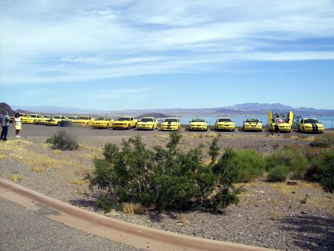 2002 Ford Mustang - A line of yellow Ford Mustangs parked near a body of water under a blue sky.