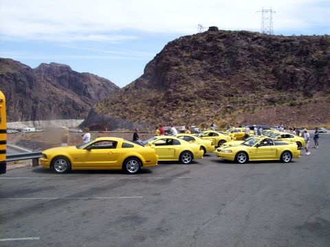 2002 Ford Mustang - A group of yellow Ford Mustangs are gathered in a scenic outdoor location.