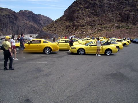2002 Ford Mustang - A line of yellow Ford Mustangs are parked in a lot with people milling around.
