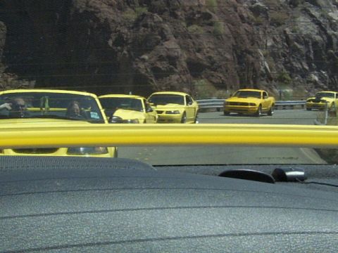 2002 Ford Mustang - A group of yellow 2002 Ford Mustangs are seen driving together on a scenic road, possibly during an event.