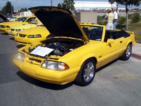 2002 Ford Mustang - kennethsg