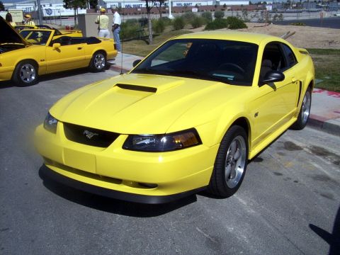 2002 Ford Mustang - A yellow 2002 Ford Mustang is parked next to another yellow convertible Mustang.