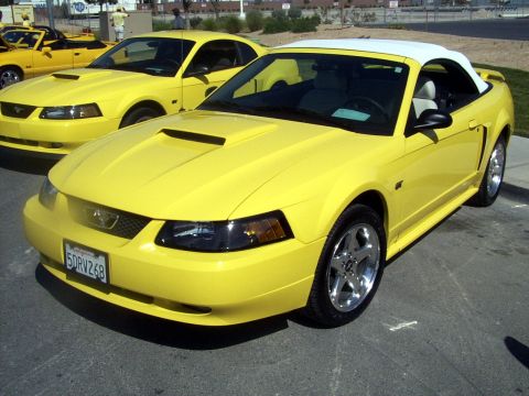 2002 Ford Mustang - vsmith