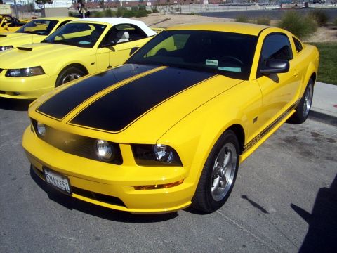 2002 Ford Mustang - Wildboar