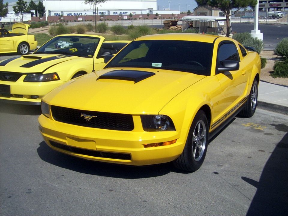 Yellow Ford Mustang coupe with hood scoop parked among other yellow Mustangs