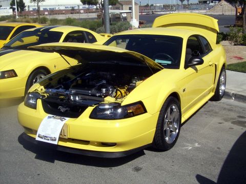 2002 Ford Mustang - jeffnoel