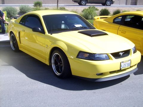 2002 Ford Mustang - LabelGT