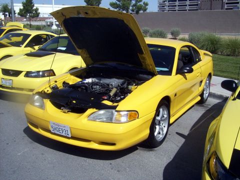 2002 Ford Mustang - Multiple yellow Ford Mustangs are gathered, one with its hood open revealing the engine bay.