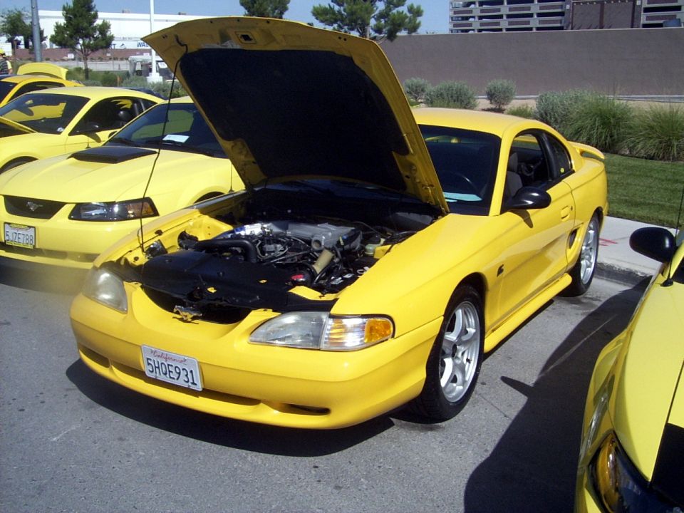 Yellow 1994 Ford Mustang coupe with hood open, parked next to other yellow Mustangs