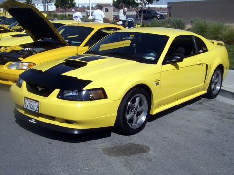 2002 Ford Mustang - gtstangracer