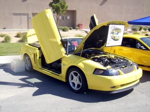 2002 Ford Mustang - zy02pony