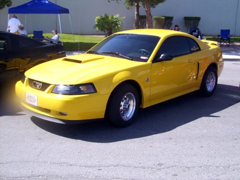 2002 Ford Mustang - Yellow 2002 Ford Mustang with aftermarket wheels at an outdoor event.