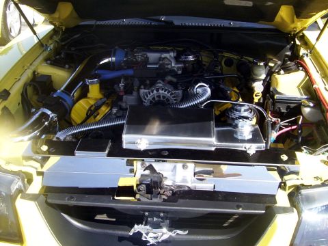 2002 Ford Mustang - jeffnoels engine