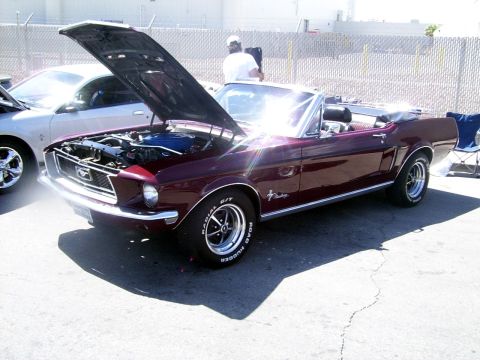 2002 Ford Mustang - A classic Ford Mustang convertible is displayed with its hood open, revealing the engine bay.