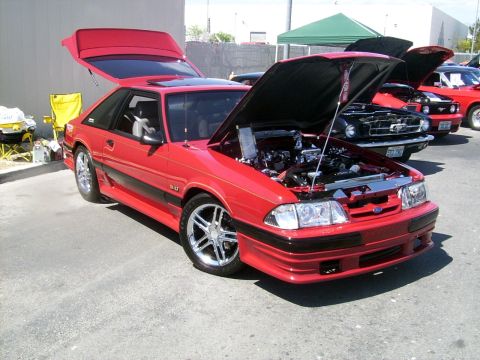 2002 Ford Mustang - Red Ford Mustang at an outdoor car event, hoods and trunks open.