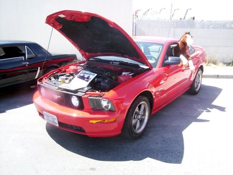 2002 Ford Mustang - A red Ford Mustang, likely a 2005 model, is displayed with its hood open and a stuffed horse in the driver's seat, while another Mustang is…