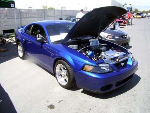 2002 Ford Mustang - A blue Ford Mustang is parked with its hood open at an outdoor event, revealing its engine bay.
