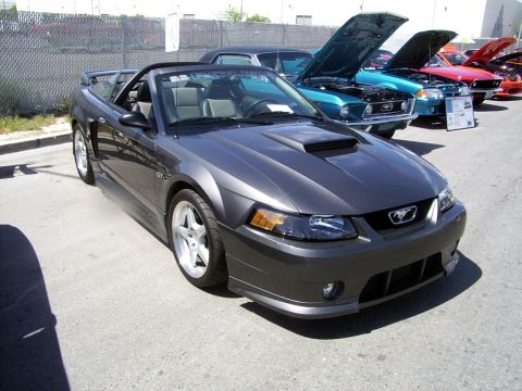 2002 Ford Mustang - A row of classic cars are on display, with one dark gray convertible Mustang in the foreground.