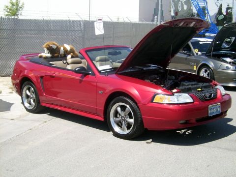 2002 Ford Mustang - A red convertible Mustang GT is parked with its hood up, showing off its engine bay. Two stuffed animals are in the passenger seat.