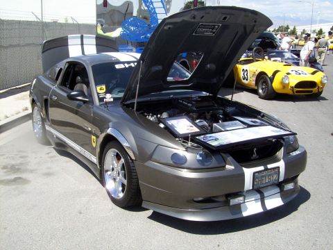 2002 Ford Mustang - A gray Ford Mustang is displayed with its hood open, while a yellow Cobra sits behind it at an outdoor event.