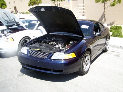 2002 Ford Mustang - Two Ford Mustangs are parked outside, one with its hood open, revealing the engine compartment.