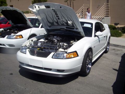 2002 Ford Mustang - A white 2002 Ford Mustang Cobra is displayed with its hood open, revealing the engine and flame decals on the underside of the hood. Anothe…