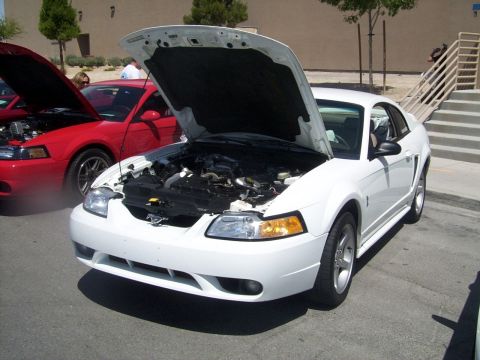 2002 Ford Mustang - Two Ford Mustangs, a white and a red one, are parked with their hoods open at an event.