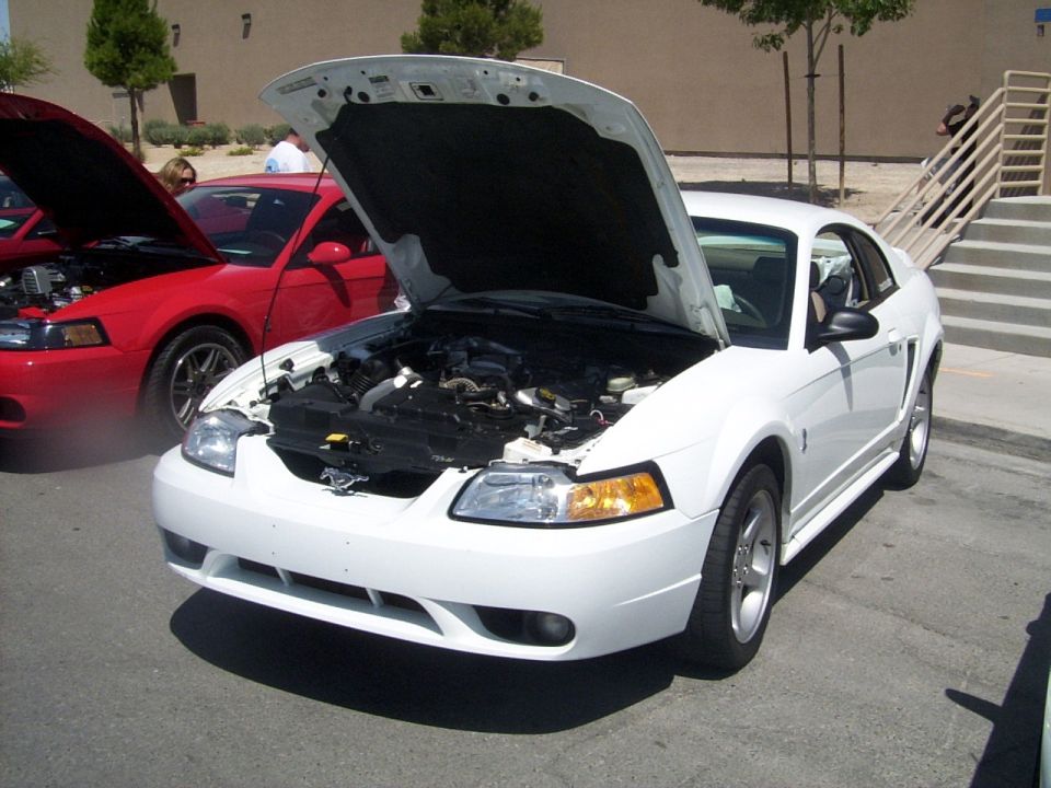 White 2002 Ford Mustang parked next to a red Mustang, both with hoods open