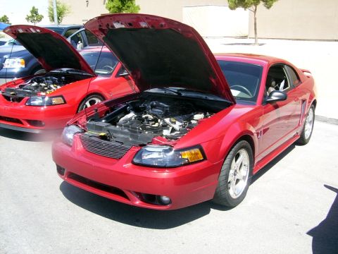 2002 Ford Mustang - Two red 2002 Ford Mustangs are parked with their hoods open, revealing their engines.