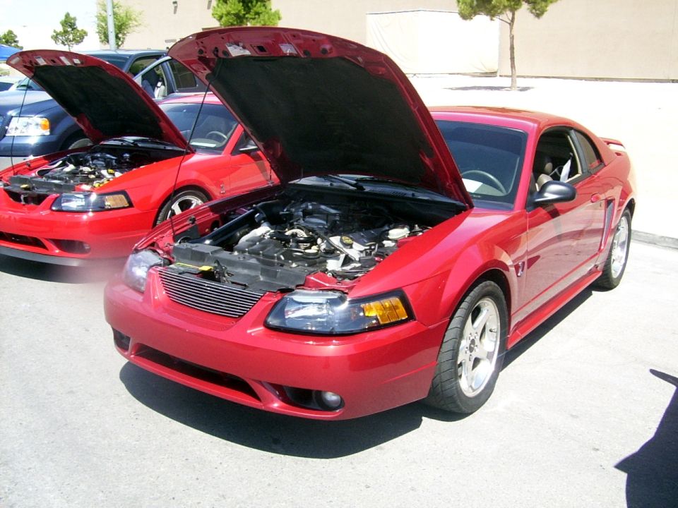 Two red 2002 Ford Mustangs parked side-by-side with hoods open, showing engines