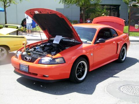 2002 Ford Mustang - Orange 2002 Ford Mustang on display with its hood and trunk open, parked outdoors.