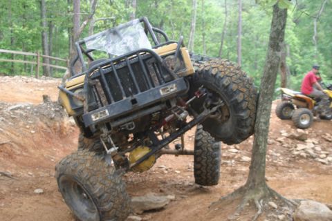 1989 Ford Bronco - An off-road vehicle is stuck against a tree on a dirt trail, with another ATV nearby.