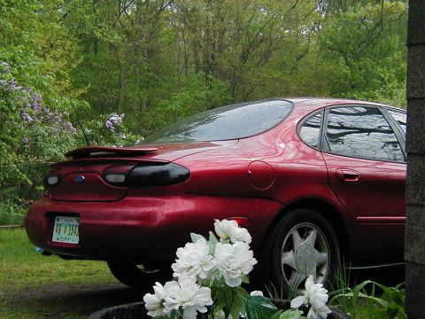 1997 Ford Taurus - A red sedan with a spoiler is seen from the rear, parked in a grassy area with trees in the background.